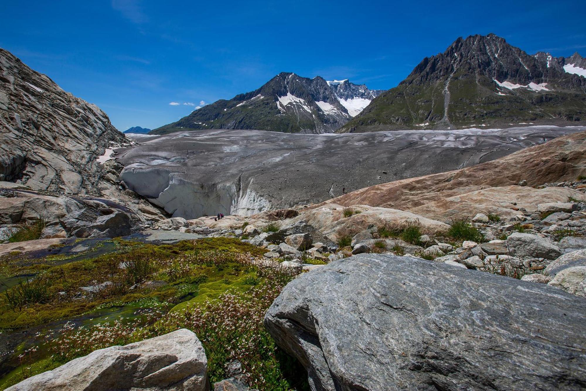 Alphuette Bielerchaeller Fiesch Exterior foto