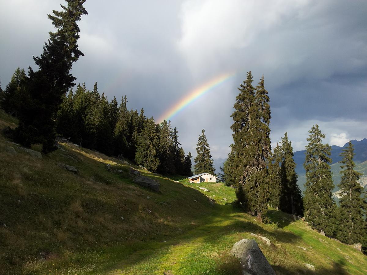 Alphuette Bielerchaeller Fiesch Exterior foto
