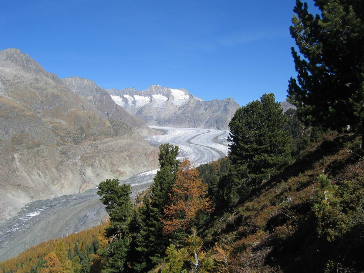 Alphuette Bielerchaeller Fiesch Exterior foto